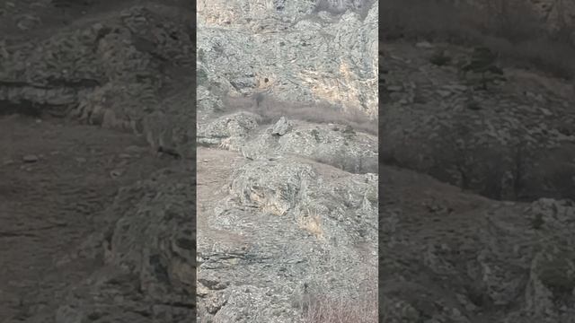 1000323886.mp4 НАЛЬЧИК. 23 марта 2024. Мои  экскурсии ,путешествия . Северная Осетия