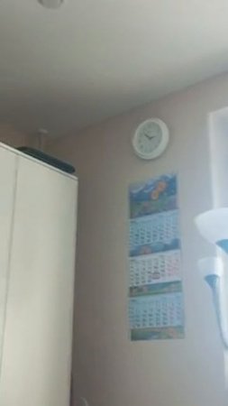 24.04.25/14:53 Долбят