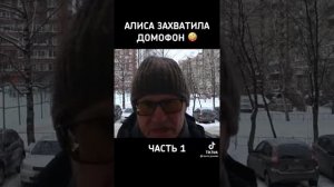 Алиса захватила домофон.  Часть 1