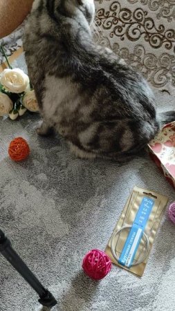 Помощник в деле))