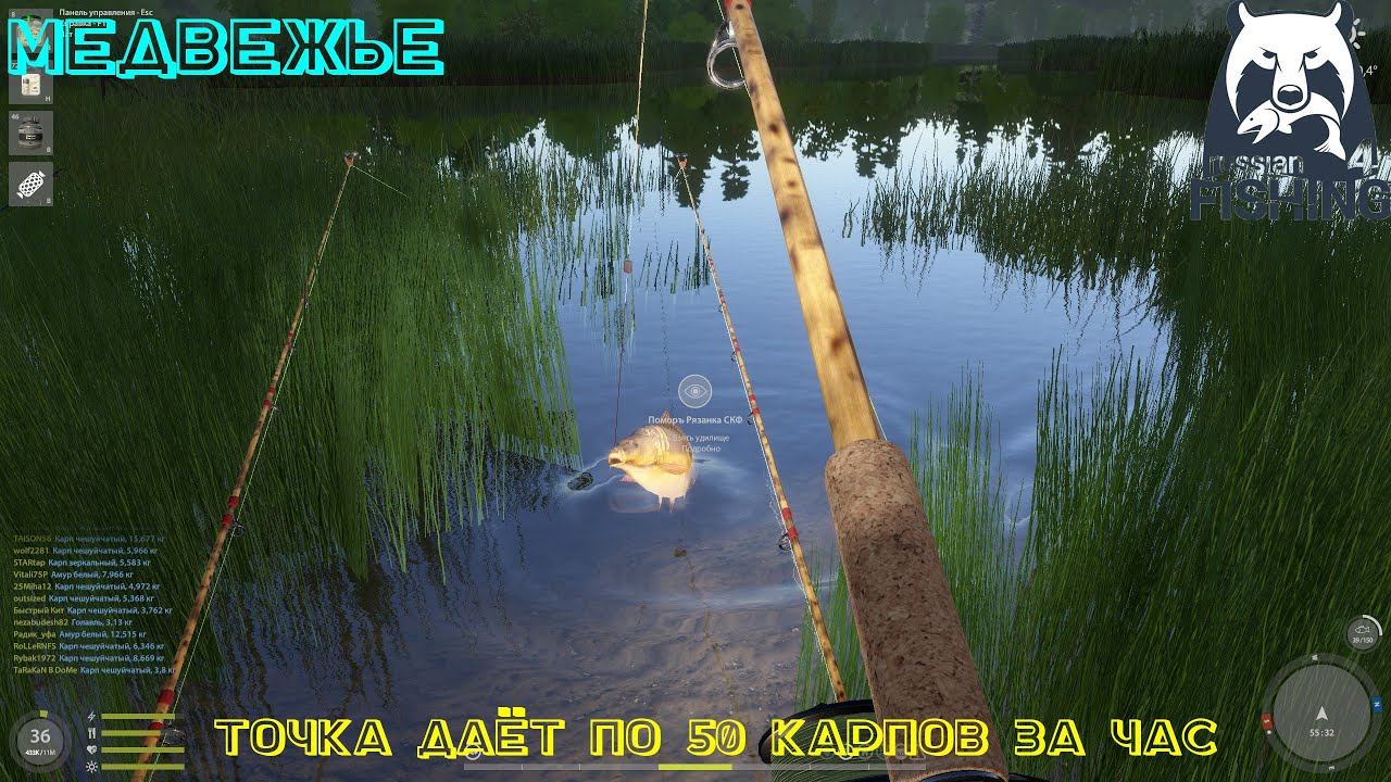 Русская рыбалка 4. Медвежье. 50 карпов за час!!! точка+сборка.