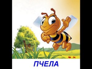 Видео для малышей - Насекомые. Карточки Домана