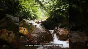 точный астропрогноз на май