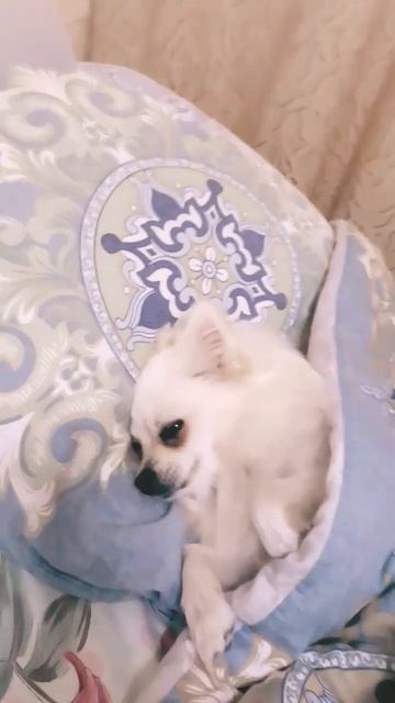 Луиза спать 