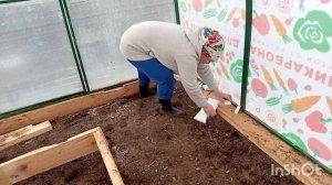 Скоро будем пробовать свои первый урожай, обновили теплицу и делаю гряды в теплице.