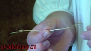Пырей ползучий, лекарственные свойства