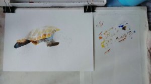 Акварельный этюд "Морская черепаха"