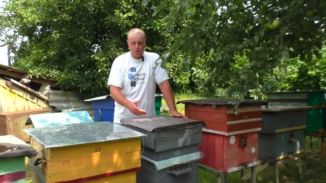 Одноразовая откачка на пасеке! смотреть онлайн