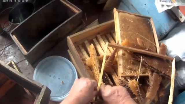 КАЧАЕМ  МЁД Ч.4 ГОТОВИМ ВОСКОВОЕ СЫРЬЕ ДЛЯ ПЕРЕТОПКИ смотреть онлайн