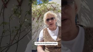 Страсти по Шереметьево