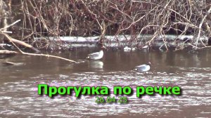 Прогулка по речке 26 04 25