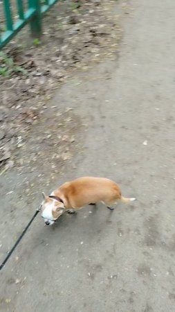 Сеня встретил Сеню, но что то не в настроение общаться, сбежал 😁