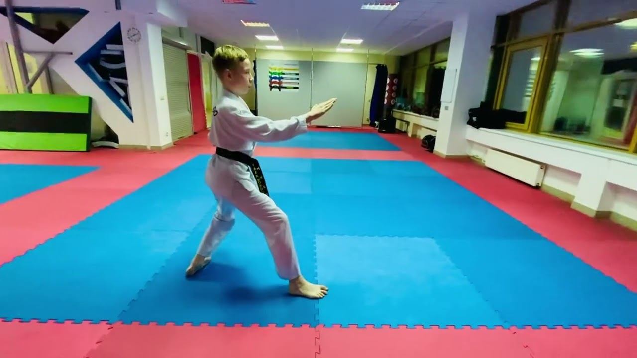 Дхан-гун видео тхэквондо туль на синий пояс тхэквондо хьенг 23 движения 4 гып комплекс Dhan-Gun Tul смотреть онлайн