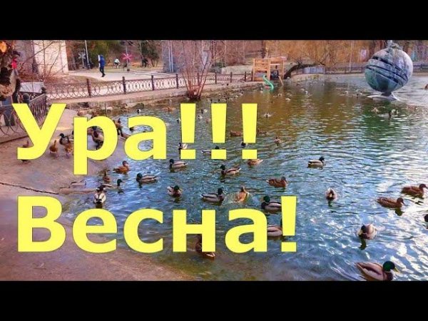 Весна пришла!#Shorts