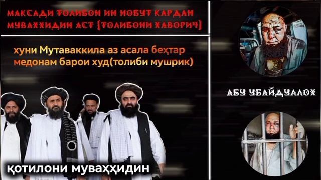 Кушта шудани Уламоҳои Рабони аз Дасти Суфиҳои Қабр параст Бо ном Толибон