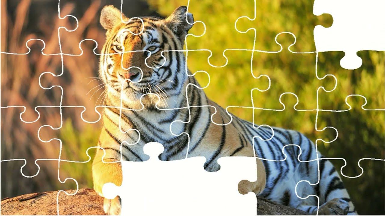 Мультики для малышей про животных. Раскрашиваем животных, учим цвета и собираем пазлы смотреть онлайн