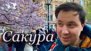 Интервью - Сакура в цвету, какое чудо! Косплей в Саду Дружбы