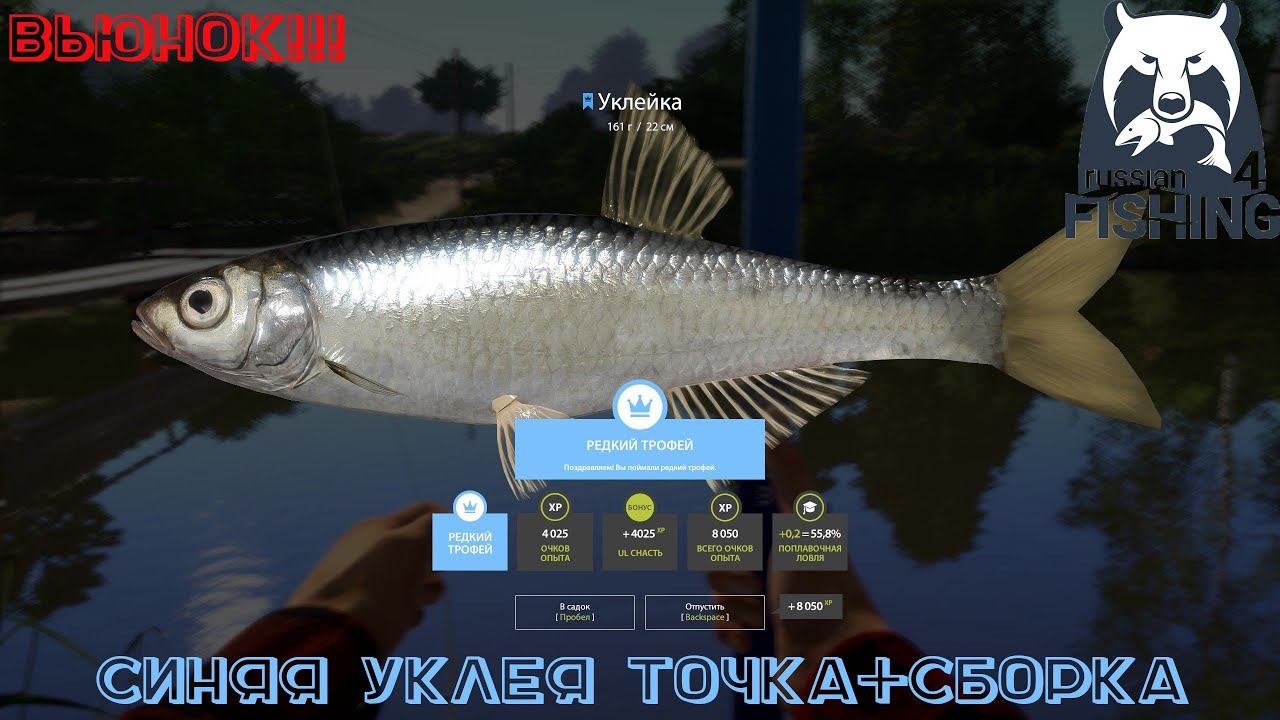 Русская Рыбалка 4. Вьюнок Синий троф. Точка+Сборка.
