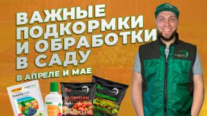 Главные подкормки и обработки в саду (май) #огород #сад #дача #комнатныерастения