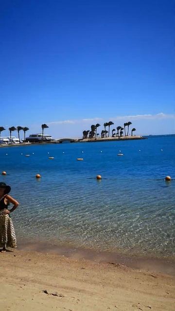 Почти каждый немец отдыхал в Египте. Немцы отдыхают в Египте. Трёхчасовой перелет #отдых #египет смотреть онлайн