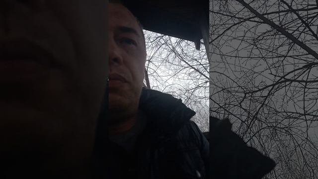 шизофрения у золотого миллиарда и всего его актива органические нарушения мозга смотреть онлайн