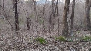 Очень надеюсь, что сегодня мне удача улыбнется.27.04.3025г.