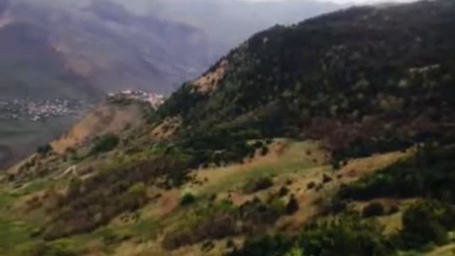 Чуниб природа смотреть онлайн