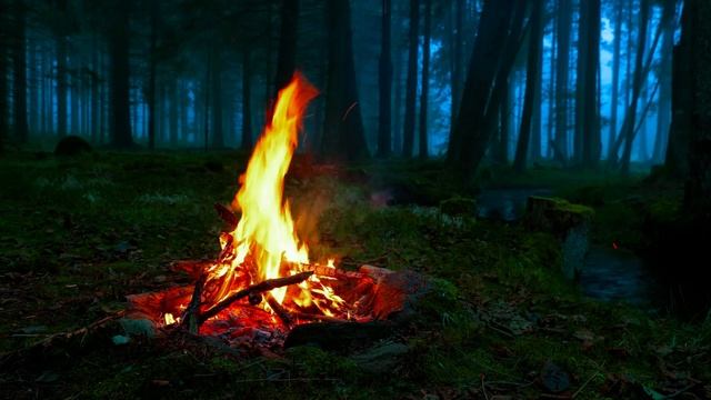 🔥 Костёр в Туманном Лесу у Реки — 100% Аутентичные Звуки Природы для Сна, Релаксации и Медитации