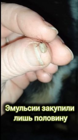 Кроме нас никто не защитит! 
Вся информация на видео