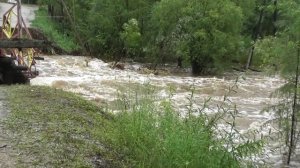 Дождь ЧС 06.08.2022 в г.Тында