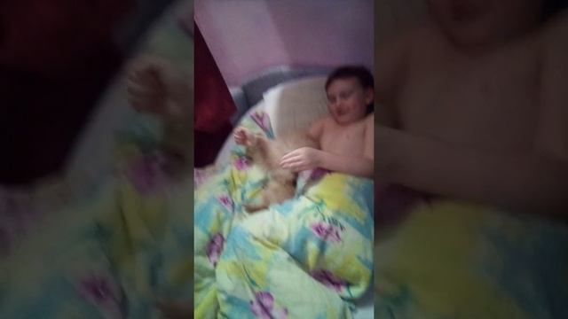 22 марта 2020 г. Две малышки. Веселый шпиц. смотреть онлайн