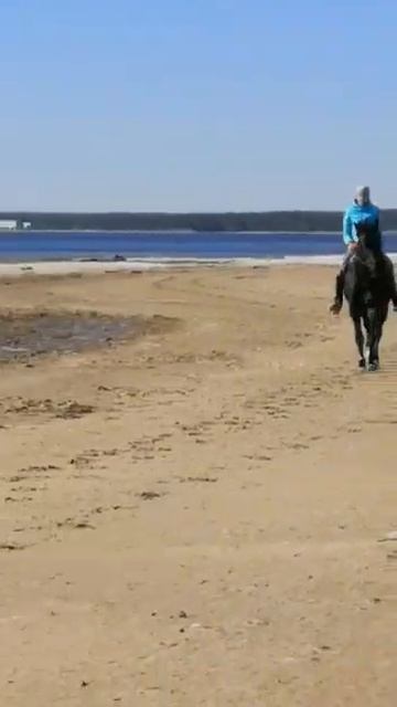 Как скачет!!! Тоже так хотим!