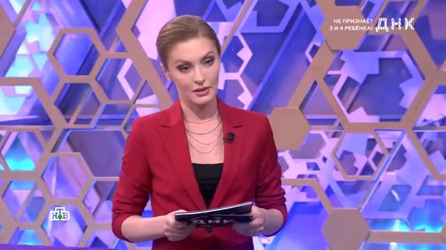 Дмитрий Гриневич в телевизионном ток-шоу