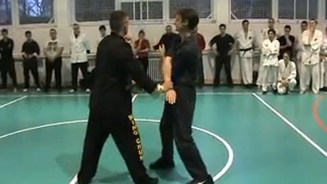 International Combat Union Seminar - Belgrade 2011 - Wing Chun presentation- dynamic chi sao