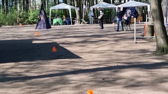 ТРОДОС Барвиттера