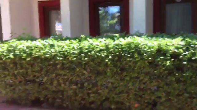 Турция отель киришь 3 часть смотреть онлайн