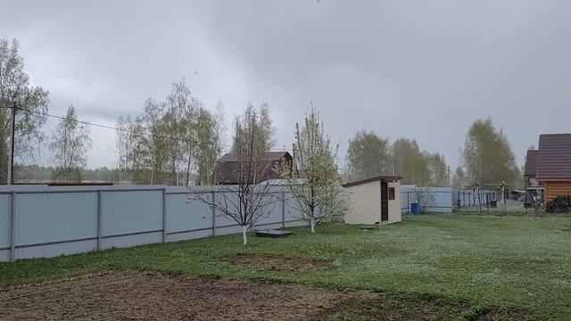 Сюрпризы от природы