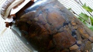 Жаренные моховики для длительного хранения