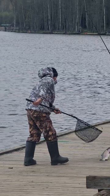 Поимки форели и карпа смотреть онлайн