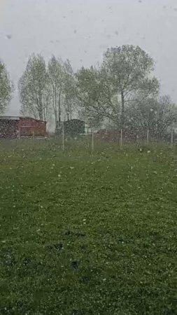 Вот такая сегодня весенняя погода в Прдмосковье!