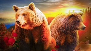 ВСЯ ПРАВДА О БУРОМ МЕДВЕДЕ | От Животного к Мифу