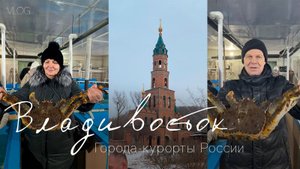 Города-курорты России. Владивосток. Поездка на остров Русский, январь 2025 года.