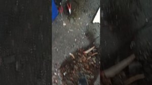 SAAB 9.5 Стук в районе обводного ремня,поиск причины и решение проблемы