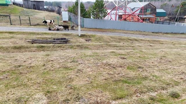 В продаже земельный участок в деревне Даутово Челябинская область смотреть онлайн