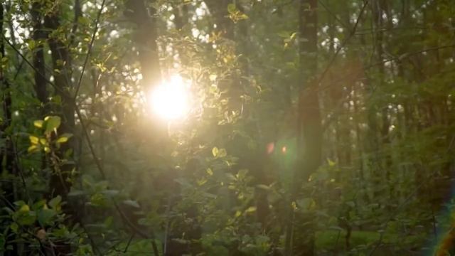 Бәйбіше! 5- бөлімі! Болған оқиға ізімен! Өмірлік әңгіме! Авторы Жазира Тулешова! Аудиокітап. смотреть онлайн