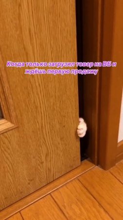 А вы помните свою первую продажу?