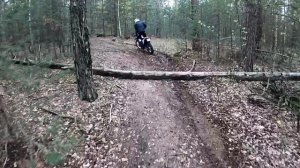 Кайфуем в лесу)