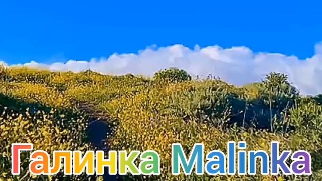 Ольга Уралочка live /Спалились /Не живут вместе /Обзор Влогов /Уралочка и Сафар