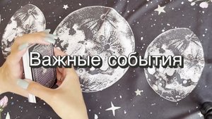 Важные события ближайшего будущего. Оракул Киппер. Онлайн расклад