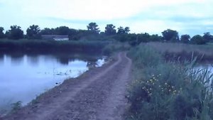 Прогулка по Камышевахе.